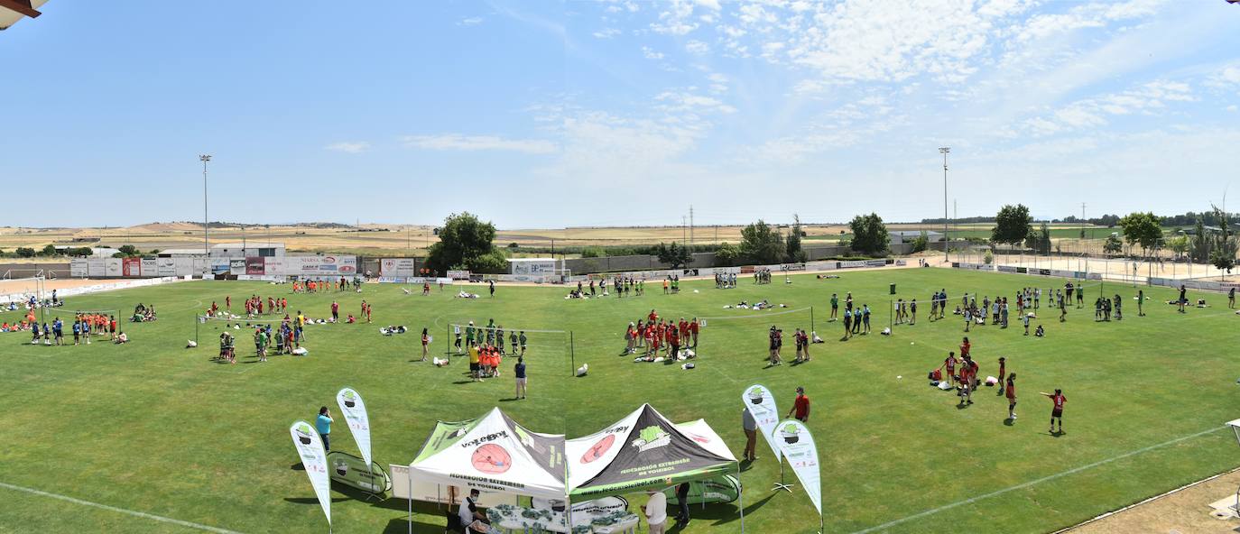 Pequeños jugadores de toda Extremadura disfrutaron del 'X Día del Minivoley'