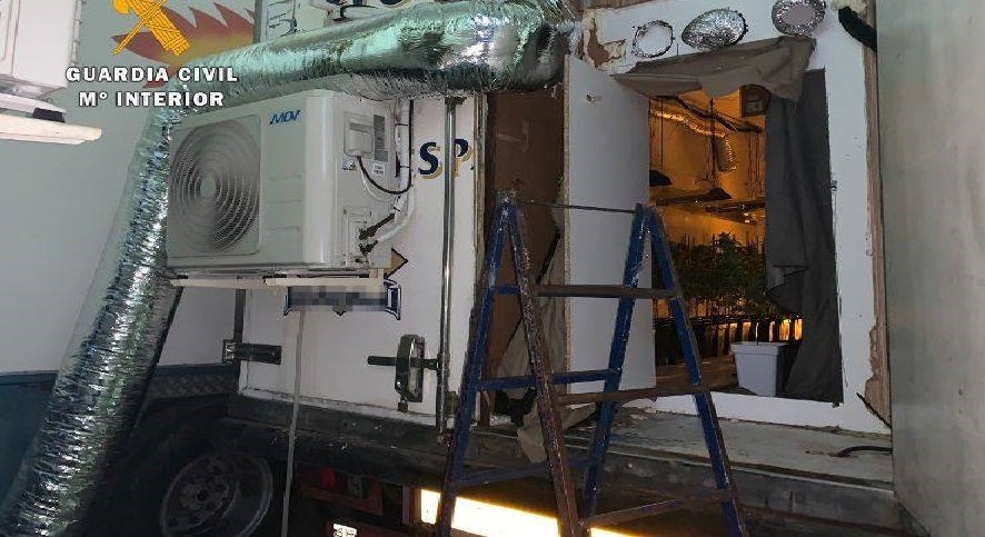 Una producción intensiva de cannabis instalada en el remolque de un camión en Miajadas con 474 plantas