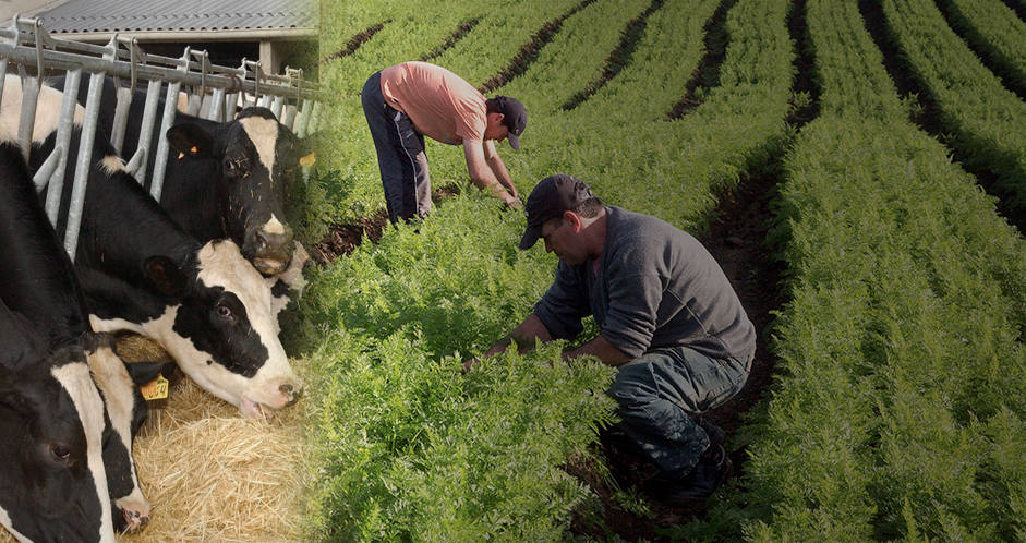 Jornada abierta para resolver dudas sobre la nueva Política Agraria Común 'PAC'