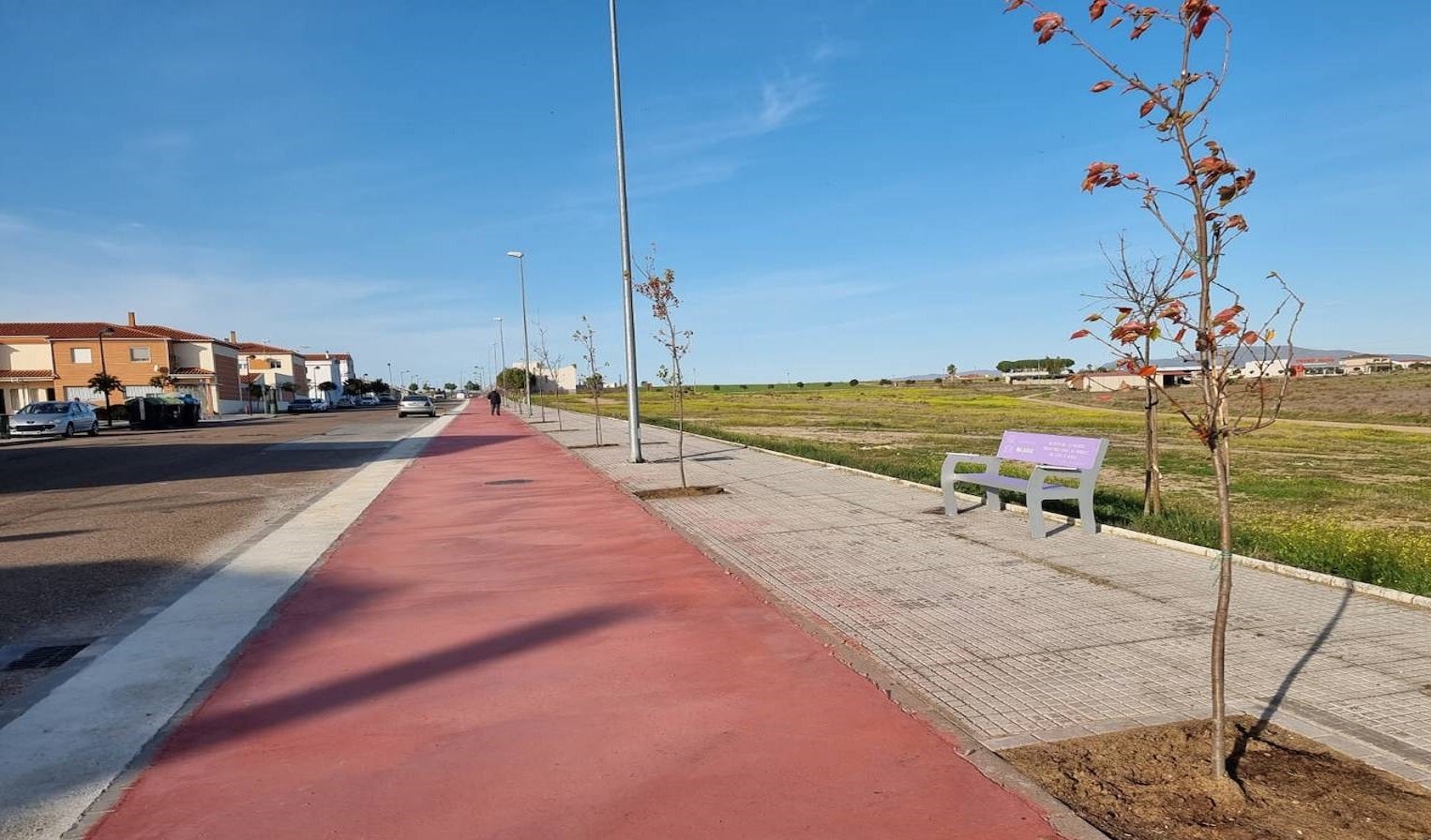 60 nuevos árboles en el carril bici de la Avenida 8 de marzo