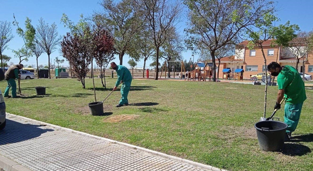 Los miajadeños pueden acceder a un curso de instalación y mantenimiento de jardines y zonas verdes