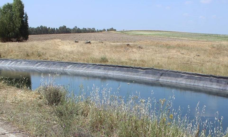 «Desde la distancia: En unos lugares se desprecia el agua y en otros la tierra se muere de sed»