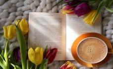 «El libro es fuerza, es valor, es poder, es alimento; antorcha del pensamiento y manantial del amor»