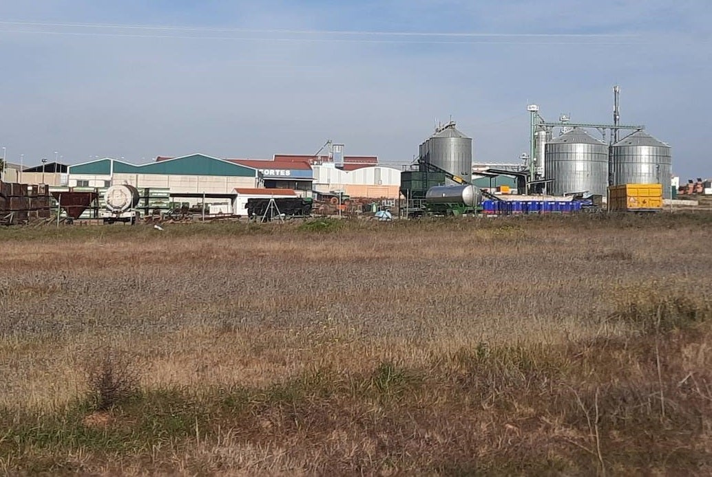 Desde la distancia: «Cuídese el medio ambiente, pero la industrialización también es necesaria»