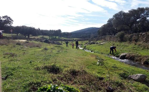 Plantación de árboles este domingo junto a la depuradora