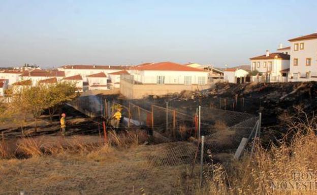 Los propietarios de terrenos y solares de Monesterio tienen todo el mes de abril para limpiarlos