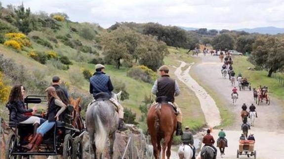 El XXIX Día del Caballo de Monesterio de traslada al pabellón de cristales por la previsión de lluvia