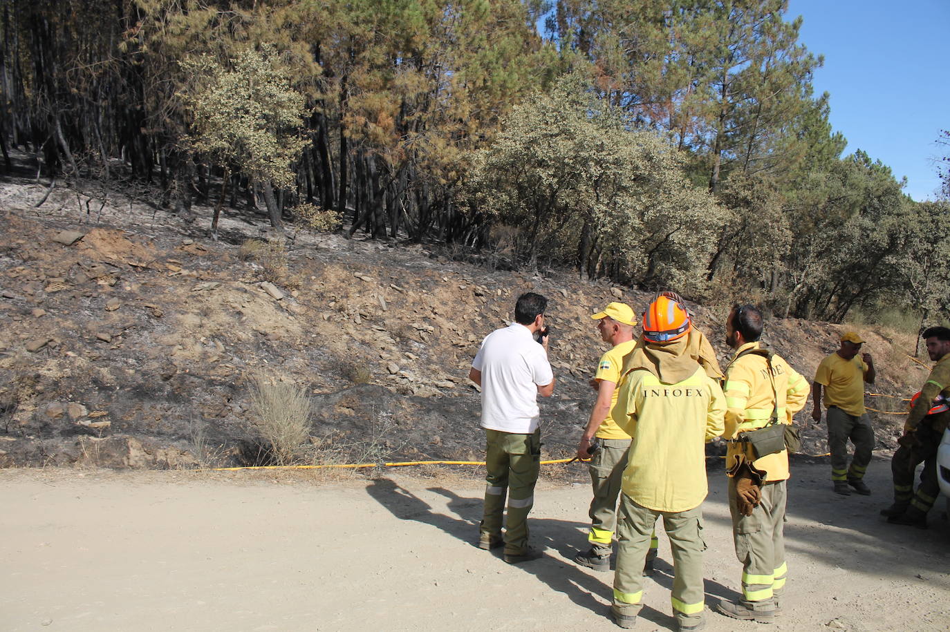 El Infoex consigue controlar el incendio del pinar de Monesterio