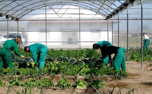 Los días 12 y 13 de febrero, jornadas de sensibilización del movimiento cooperativo en Monesterio