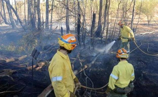 Comienza la época de peligro alto de incendios forestales en Extremadura