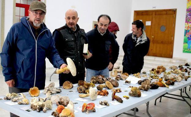 La X Ruta Gastronómica de la Seta vuelve este fin de semana