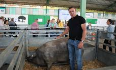 Francisco Hernández gana por séptima vez el premio a la mejor ganadería ibérica en la FIG de Zafra