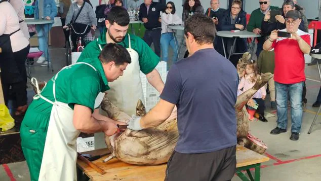 XXI Matanza Tradicional del Cerdo Ibérico de Monesterio