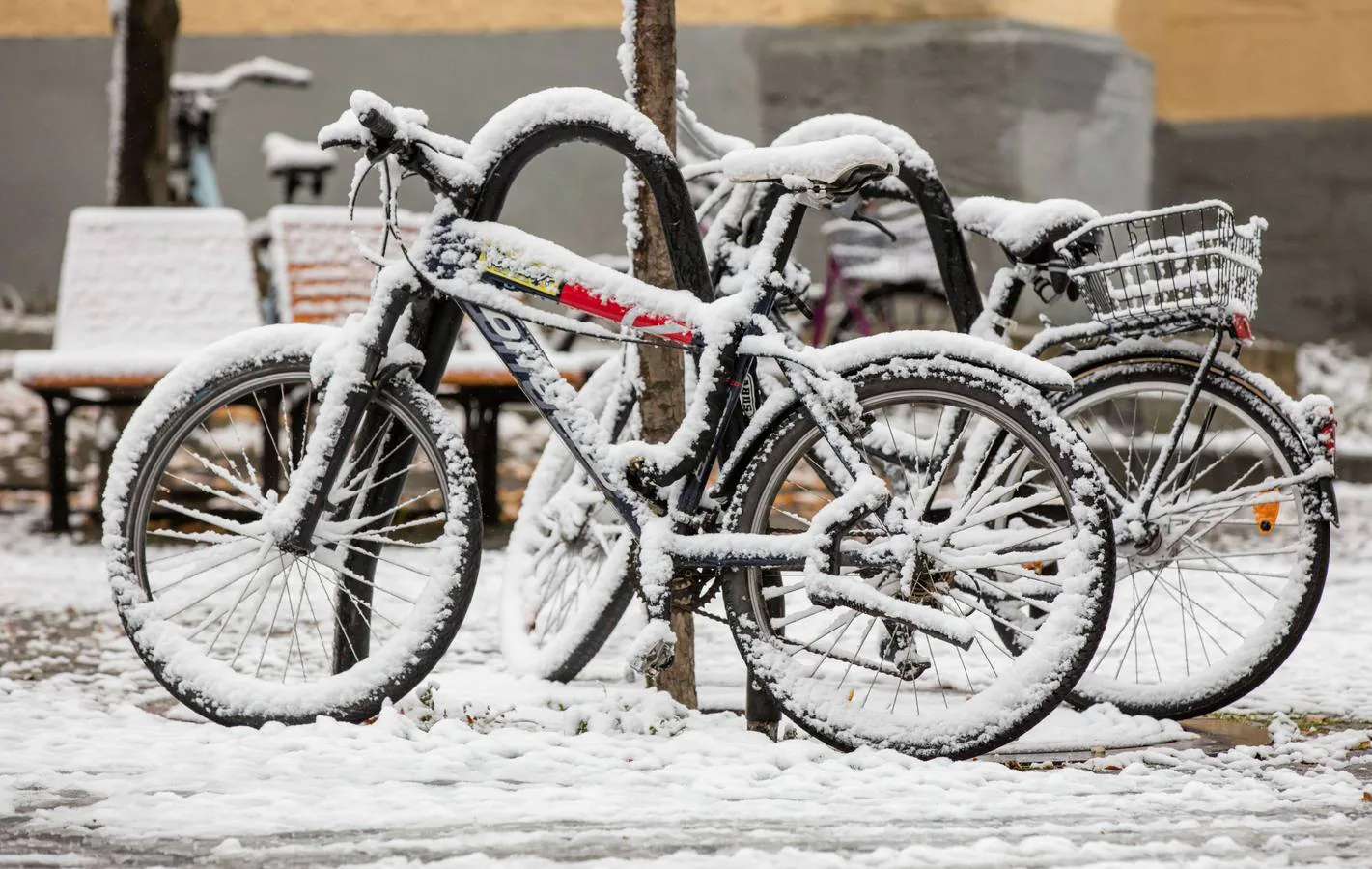 Nieve en Alemania - hoy.es