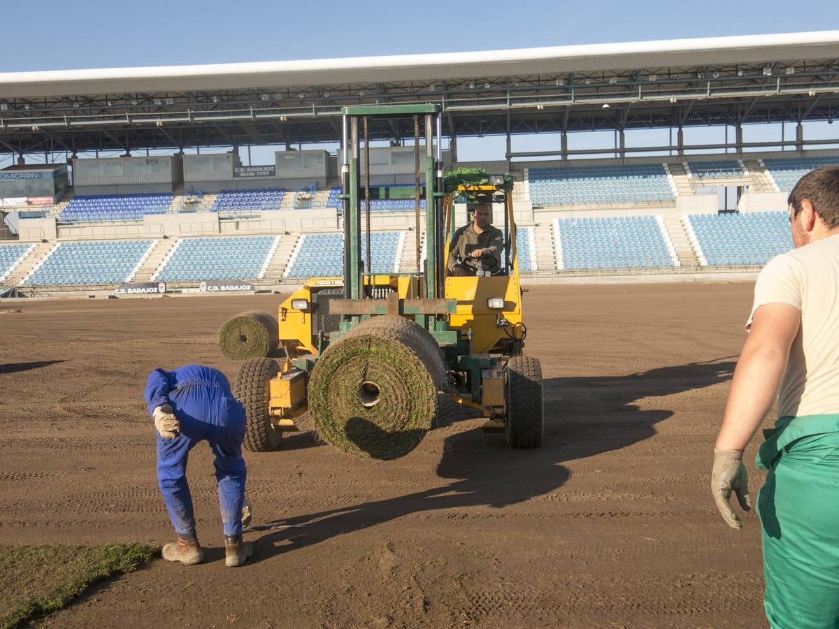 Nuevo césped para el Nuevo Vivero - hoy.es