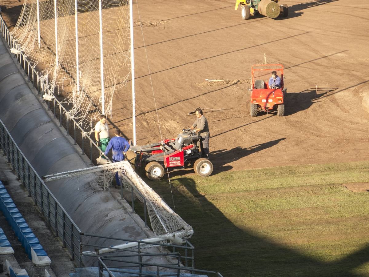 Nuevo césped para el Nuevo Vivero - hoy.es