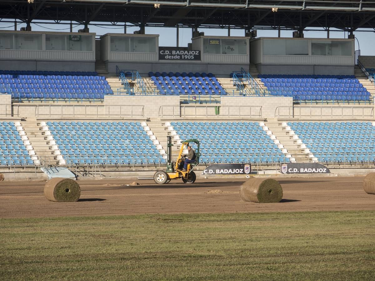 Nuevo césped para el Nuevo Vivero - hoy.es
