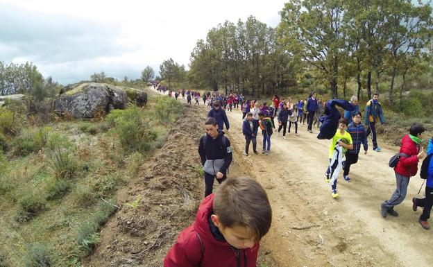 Casi 300 escolares participan en la II Ruta Senderista de Convivencia