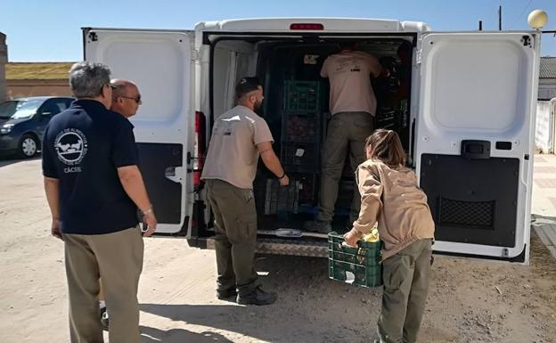 La escuela 'Sabores frutales' entrega 30.000 kilos de productos agrarios al Banco de Alimentos