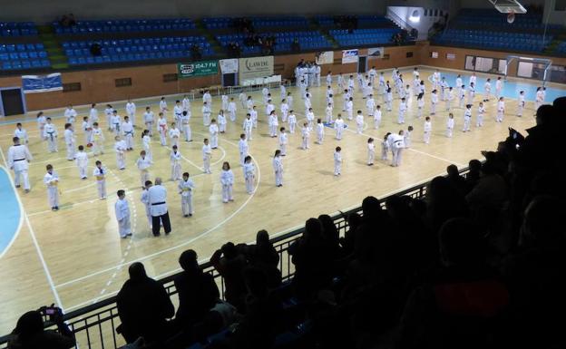 Multitudinaria exhibición solidaria del gimnasio Gabriel Amado