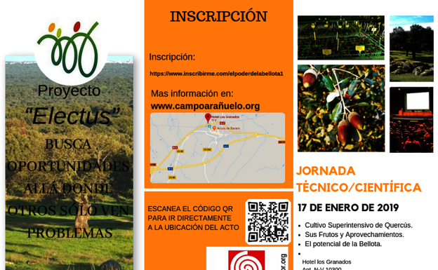 El domingo se cierra el plazo de inscripción para asistir a la jornada técnico/científica sobre la bellota
