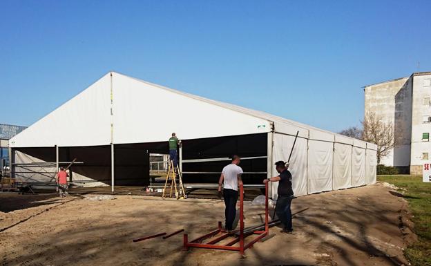 El Ayuntamiento no tolerará «ningún tipo de violencia o agresión sexista en Carnaval y perseguirá a quien lo ejerza»