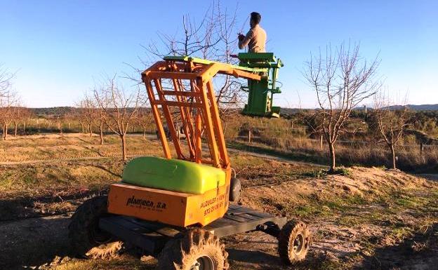 Los regantes de Saucedilla forman mano de obra para el cultivo de almendros