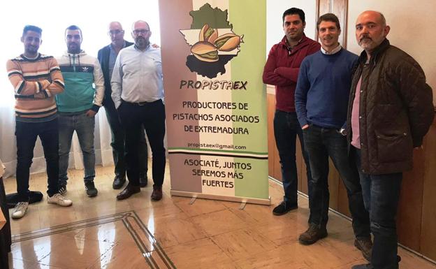 La asociación regional de productores de pistachos reúne ya cerca de 600 hectáreas