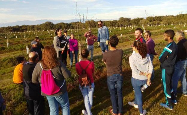Medio centenar de vecinos de la comarca se forman en la poda del almendro