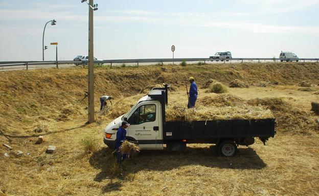 El bando contra incendios fija multas de hasta un millón de euros