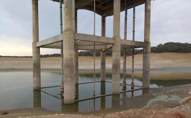 La sequía de la presa de Valdecañas deja sin agua a 800 regantes en Peraleda de la Mata