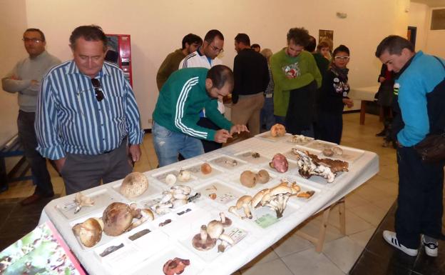 Tres ponencias en las Jornadas Micológicas del Campo Arañuelo