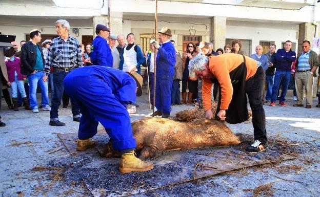 Berrocalejo celebrará el sábado la I Matanza Tradicional