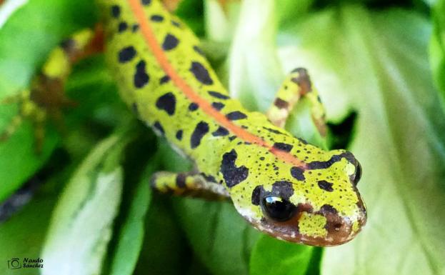 National Geográfic España selecciona dos fotografías de Fernando Sánchez Castilla