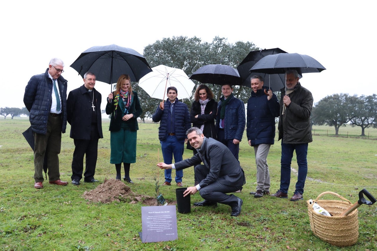 Echa a andar la construcción de la planta solar de Talayuela
