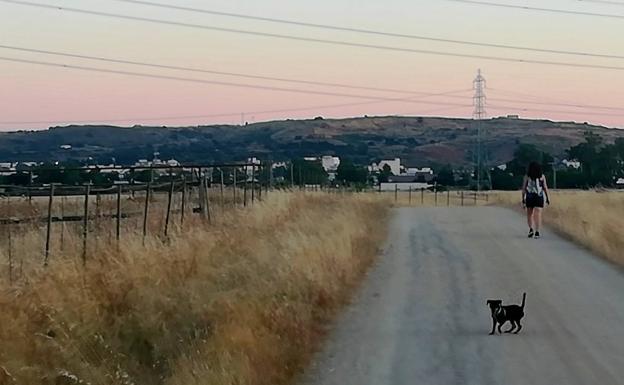 La brigada municipal acondicionará casi una decena de caminos