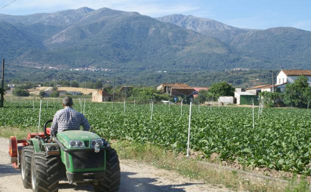 OITAB y AgroColab ofrecen mano de obra de proximidad