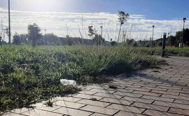 El PP pide al gobierno municipal que se limpien y desbrocen parques, jardines y solares