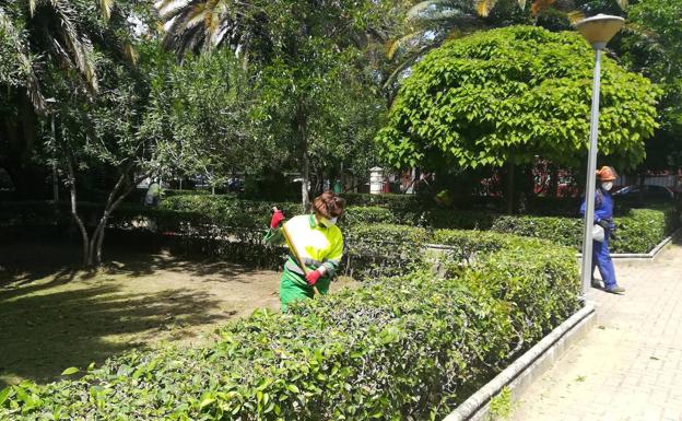 El PSOE recuerda que el servicio de jardinería se ha reforzado con diez personas en menos de un año