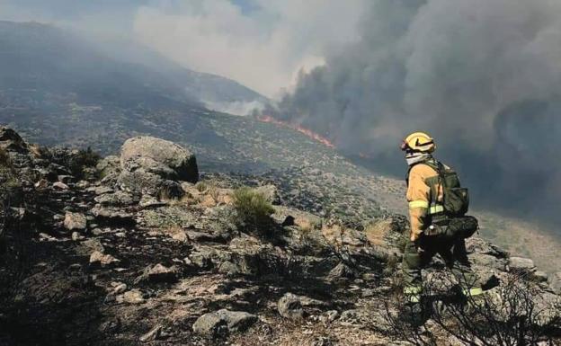 Nervios, rabia, impotencia, miedo, muerte de animales... la otra cara de los incendios