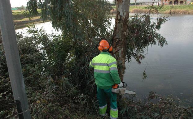 El Ayuntamiento contratará 43 desempleados durante seis meses