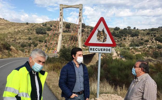 Cinco carreteras de la zona estrenan señalización para advertir de la presencia de linces y evitar atropellos