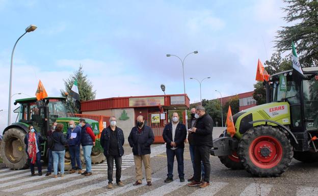 El tabaco extremeño vuelve a las industrias
