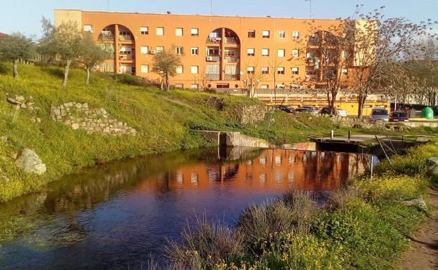 La Junta adjudica la primera fase de la rehabilitación de las viviendas del Molinillo