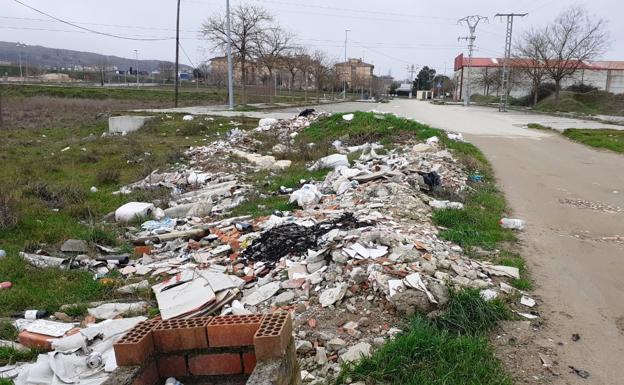 La Junta hará «próximamente una actuación de limpieza y mantenimiento» en Los Viñazos