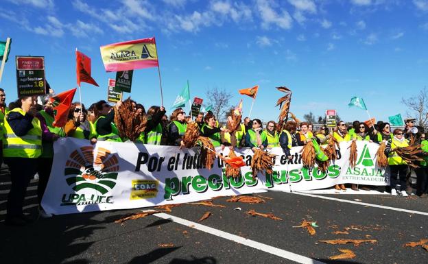 UPA-UCE, Asaja y Cooperativas retomarán las movilizaciones en defensa del tabaco cuando la pandemia lo permita