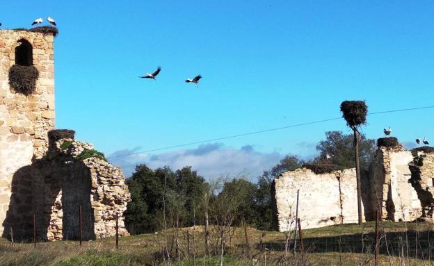 La Campana de la Mata, esa gran olvidada