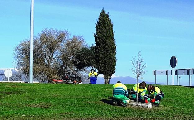 La nueva Escuela Profesional del Cerro formará en jardinería y viverismo