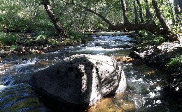 Nace la Asociación Española para la Protección y Defensa del Agua