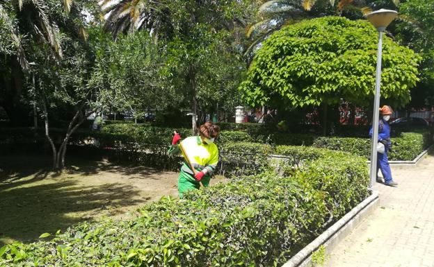La Junta de Gobierno aprueba las bases de la convocatoria para cubrir cuatro nuevas plazas municipales